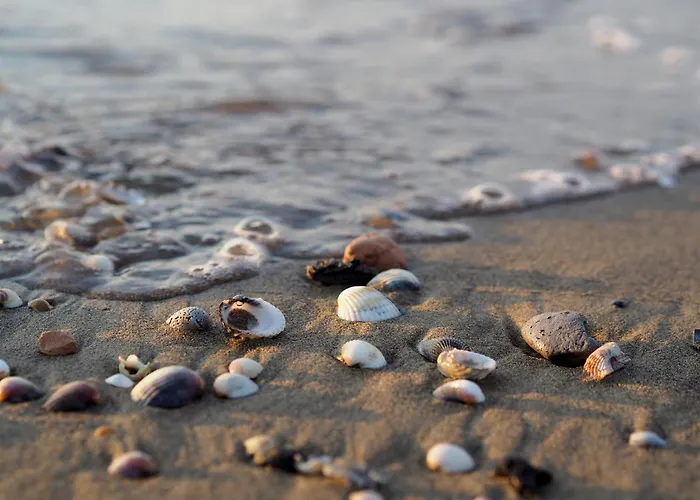 Appartement Cozy With Sunny Terrace In Bibione